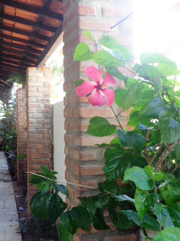 Genipabu Praia Pousada Exterior foto